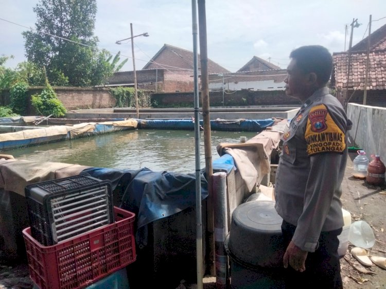 Bhabinkamtibmas Desa Singopadu Tinjau Kolam Lele Warga Guna Dukung Swasembada Pangan